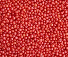 Picture of RED MINI SUGAR PEARLS X 1G MINIMUM 50G